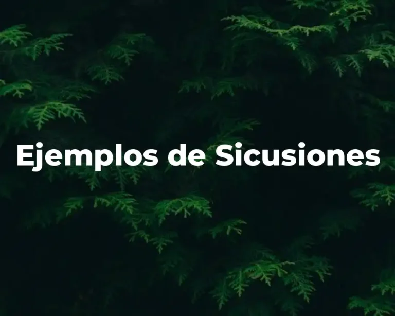 Ejemplos de Sicusiones
