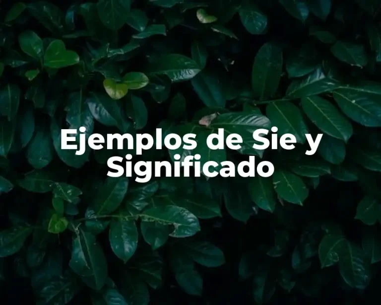 Ejemplos de Sie y Significado