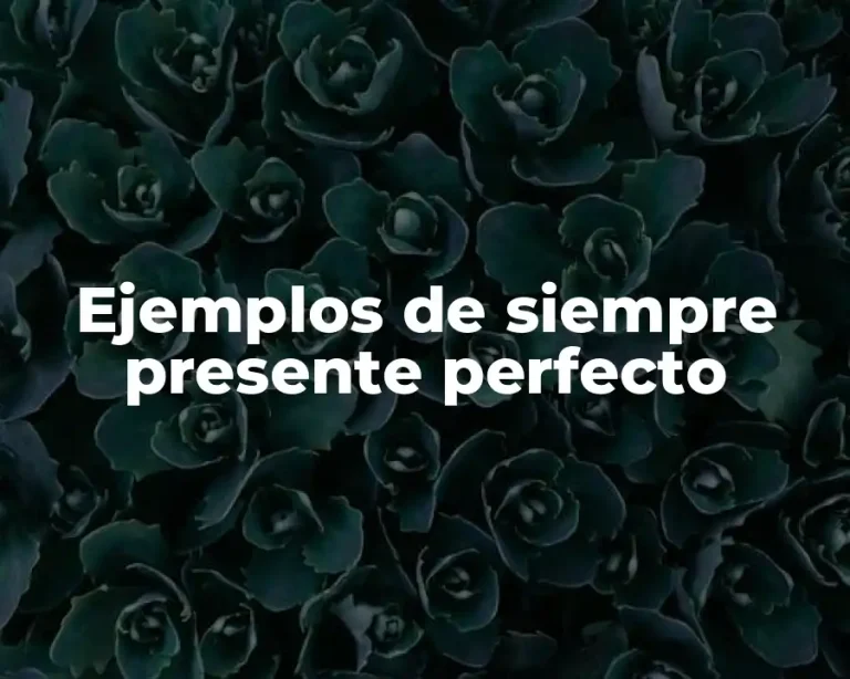 Ejemplos de siempre presente perfecto