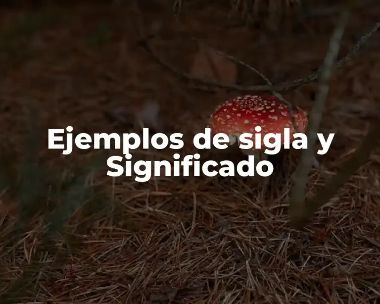Ejemplos de sigla y Significado