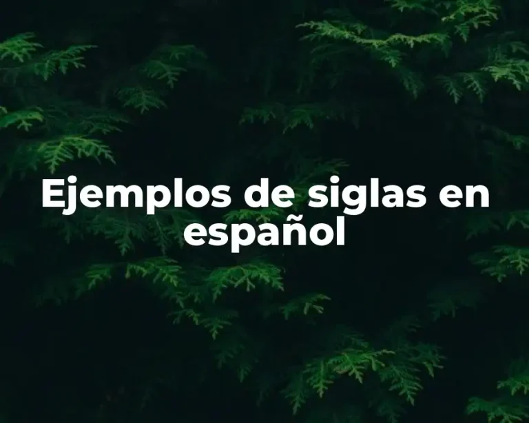 Ejemplos de siglas en español
