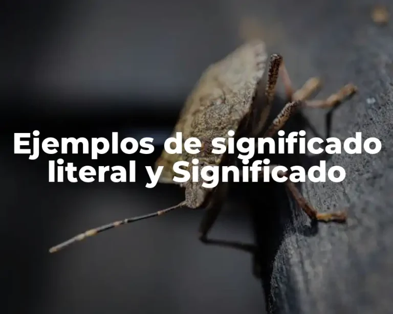 Ejemplos de significado literal y Significado
