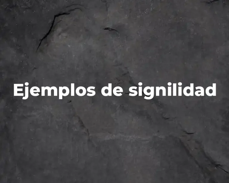 Ejemplos de signilidad