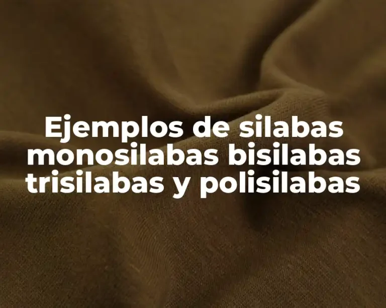 Ejemplos de silabas monosilabas bisilabas trisilabas y polisilabas