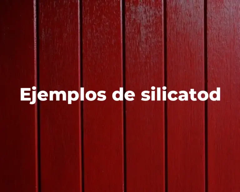 Ejemplos de silicatod