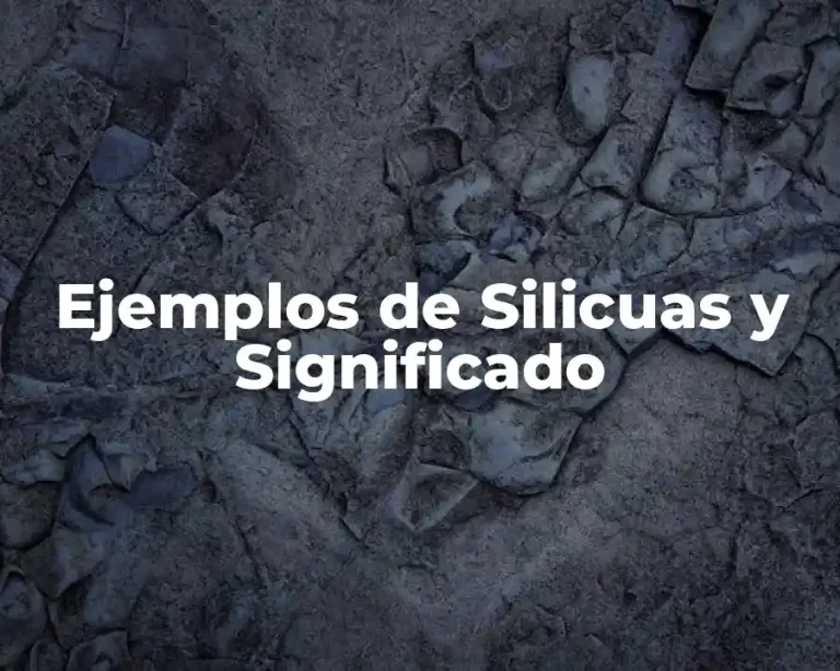 Ejemplos de Silicuas y Significado