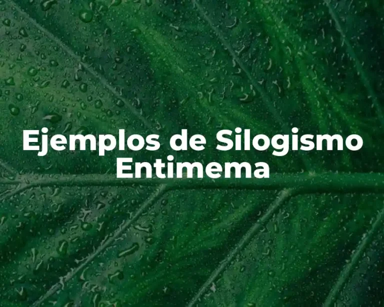 Ejemplos de Silogismo Entimema