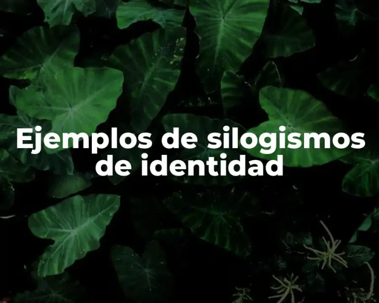 Ejemplos de silogismos de identidad