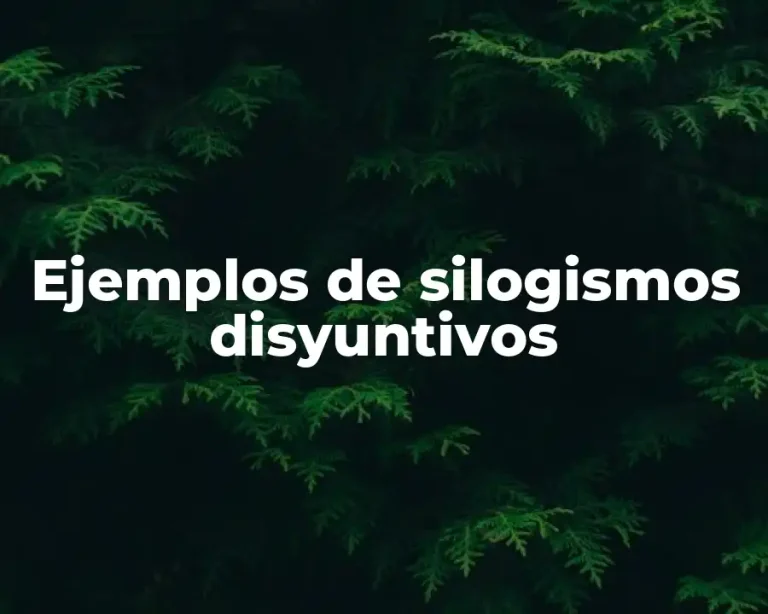 Ejemplos de silogismos disyuntivos