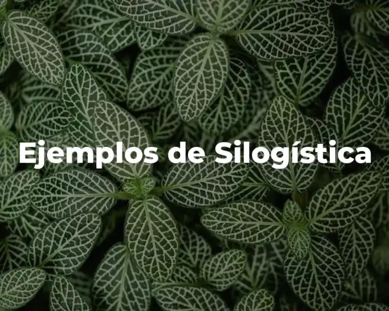 Ejemplos de Silogística