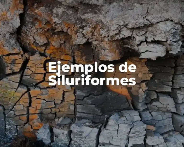 Ejemplos de Siluriformes