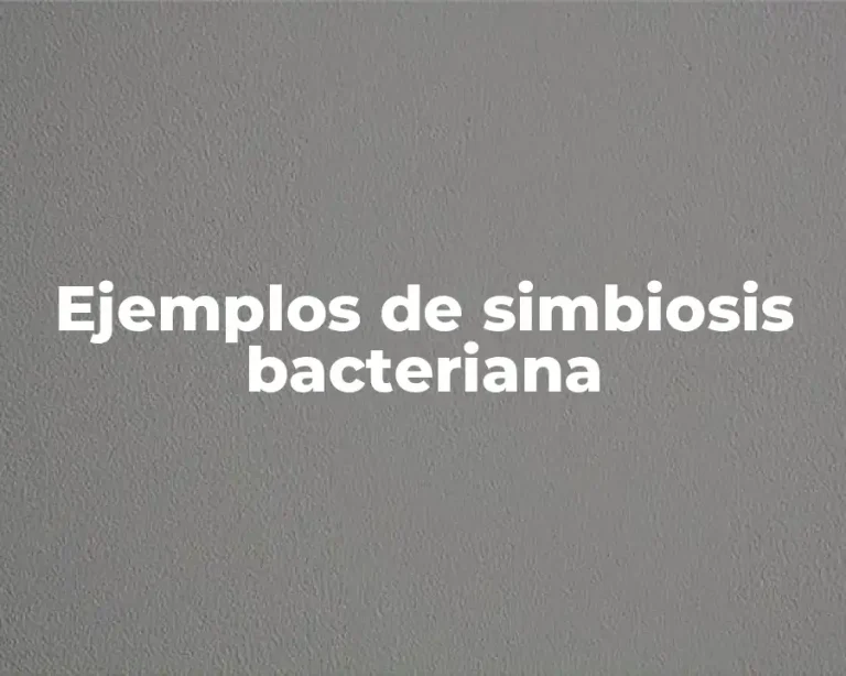 Ejemplos de simbiosis bacteriana