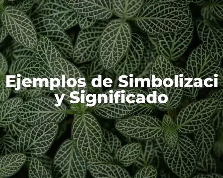 Ejemplos de Simbolizaci y Significado