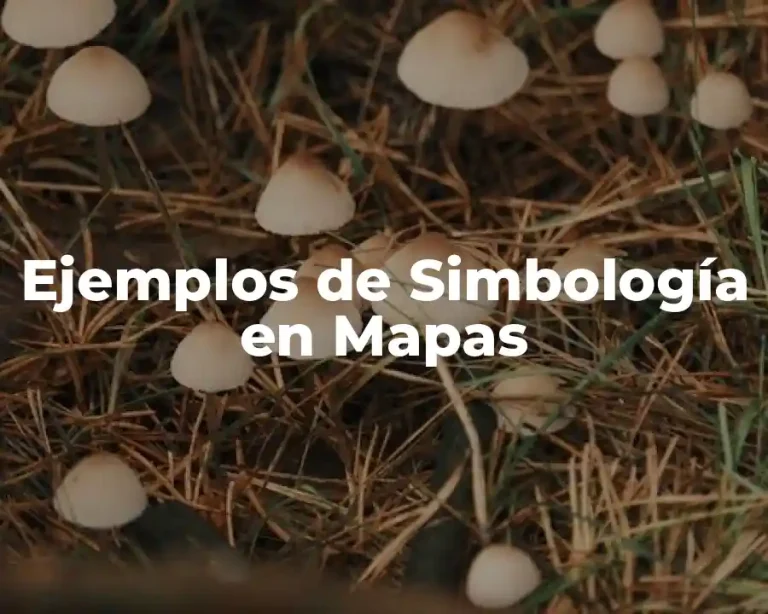 Ejemplos de Simbología en Mapas