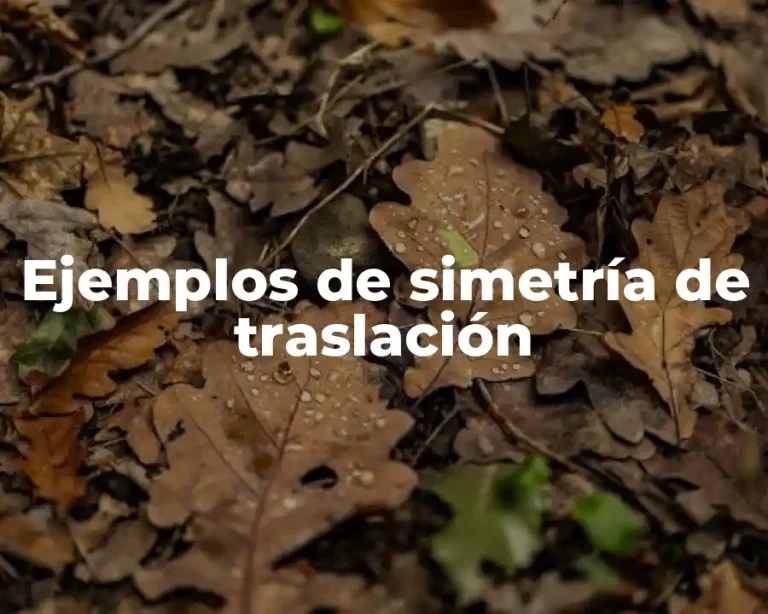Ejemplos de simetría de traslación