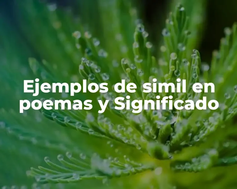 Ejemplos de simil en poemas y Significado