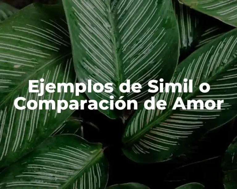 Ejemplos de Simil o Comparación de Amor