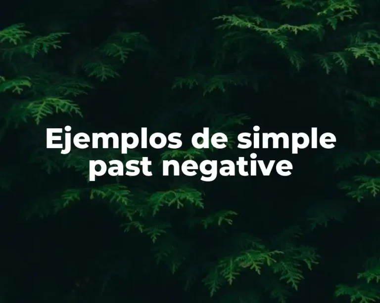 Ejemplos de simple past negative