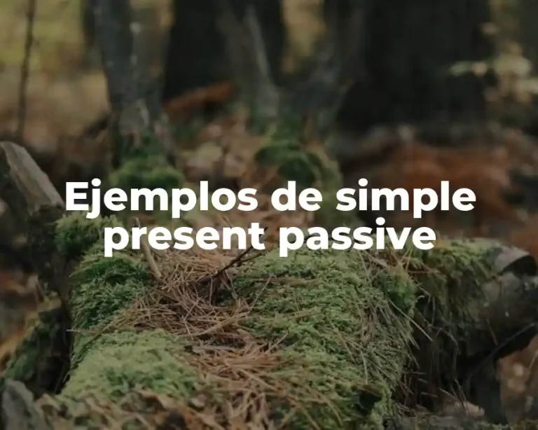 Ejemplos de simple present passive