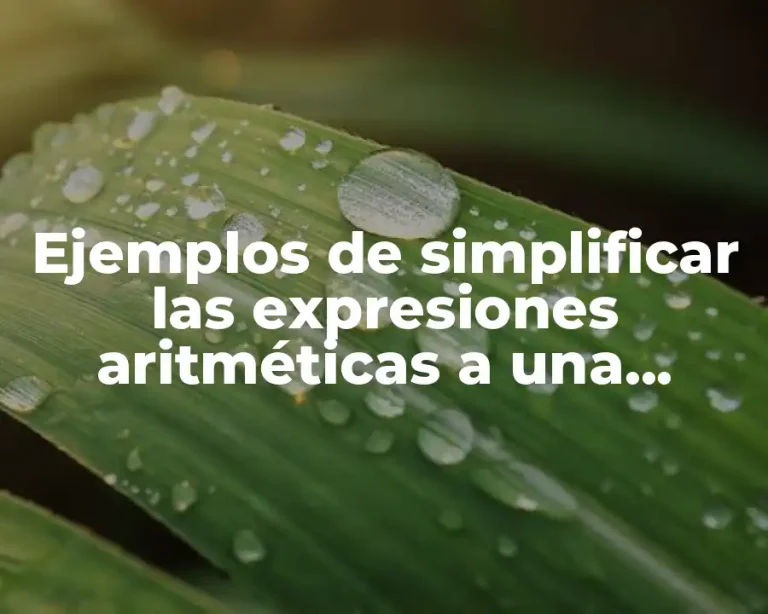 Ejemplos de simplificar las expresiones aritméticas a una mínima expresión y Significado