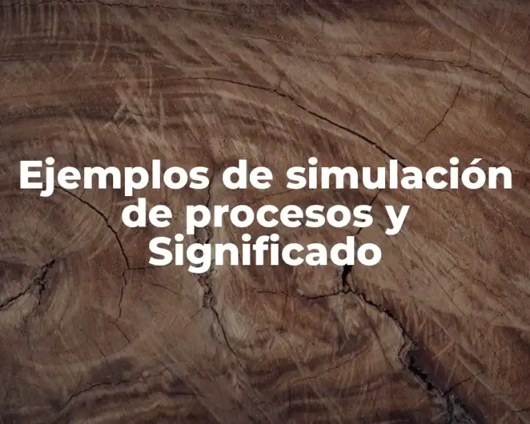 Ejemplos de simulación de procesos y Significado