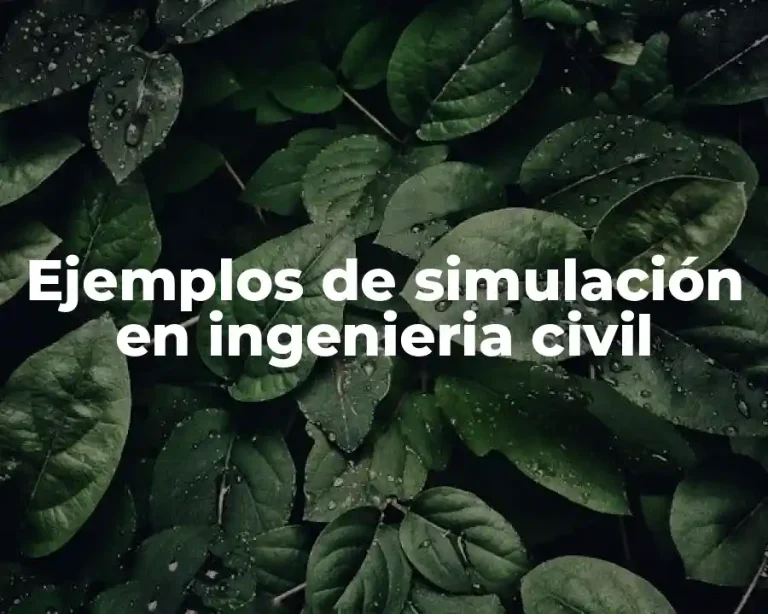 Ejemplos de simulación en ingenieria civil