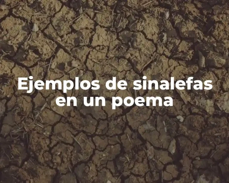 Ejemplos de sinalefas en un poema