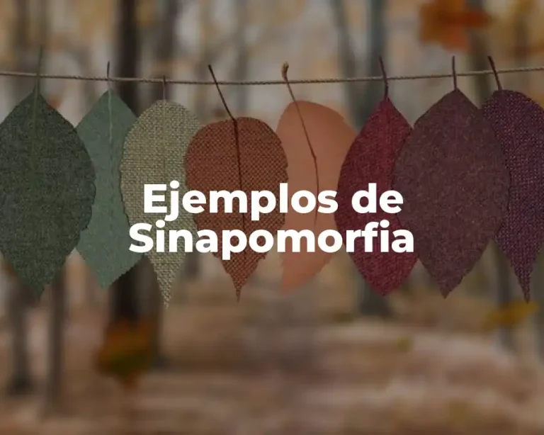 Ejemplos de Sinapomorfia