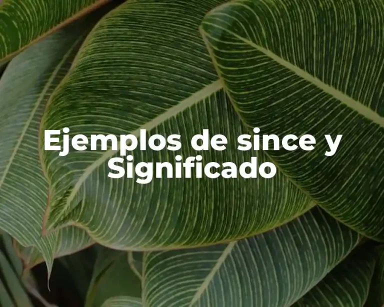 Ejemplos de since y Significado
