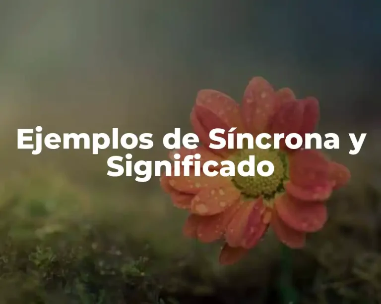 Ejemplos de Síncrona y Significado