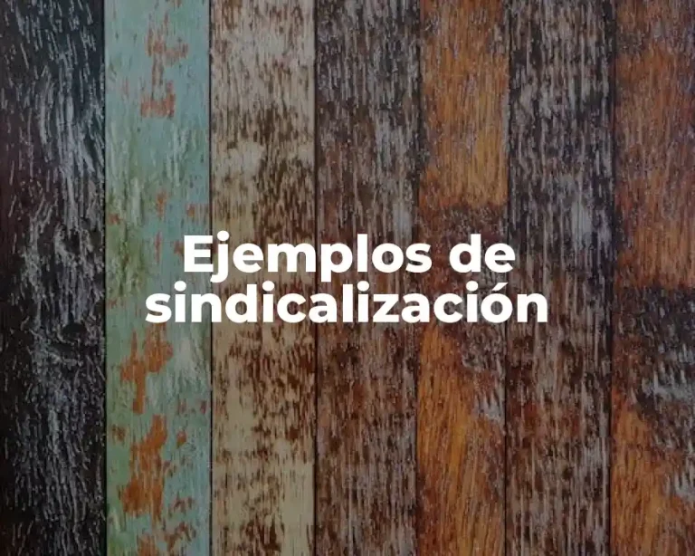 Ejemplos de sindicalización