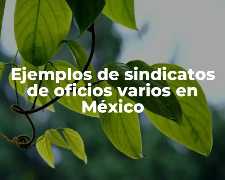 Ejemplos de sindicatos de oficios varios en México
