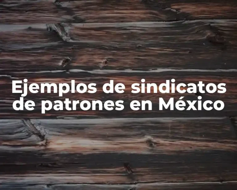 Ejemplos de sindicatos de patrones en México