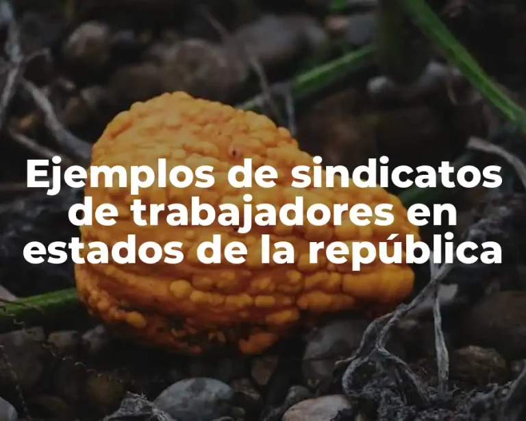 Ejemplos de sindicatos de trabajadores en estados de la república