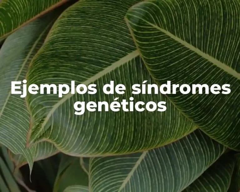Ejemplos de síndromes genéticos