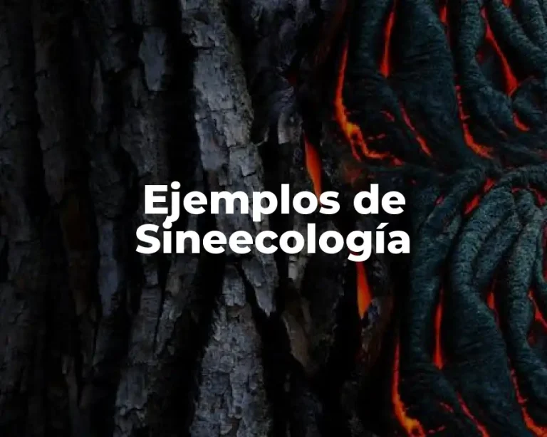 Ejemplos de Sineecología