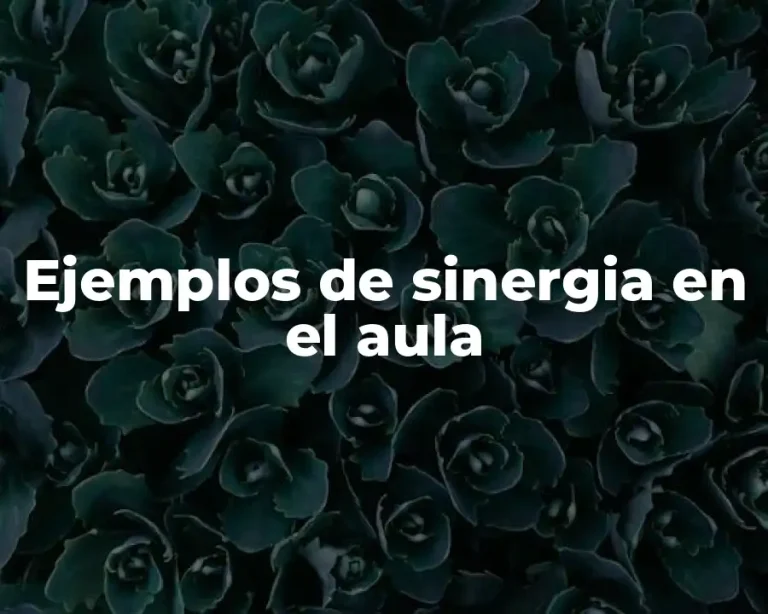 Ejemplos de sinergia en el aula