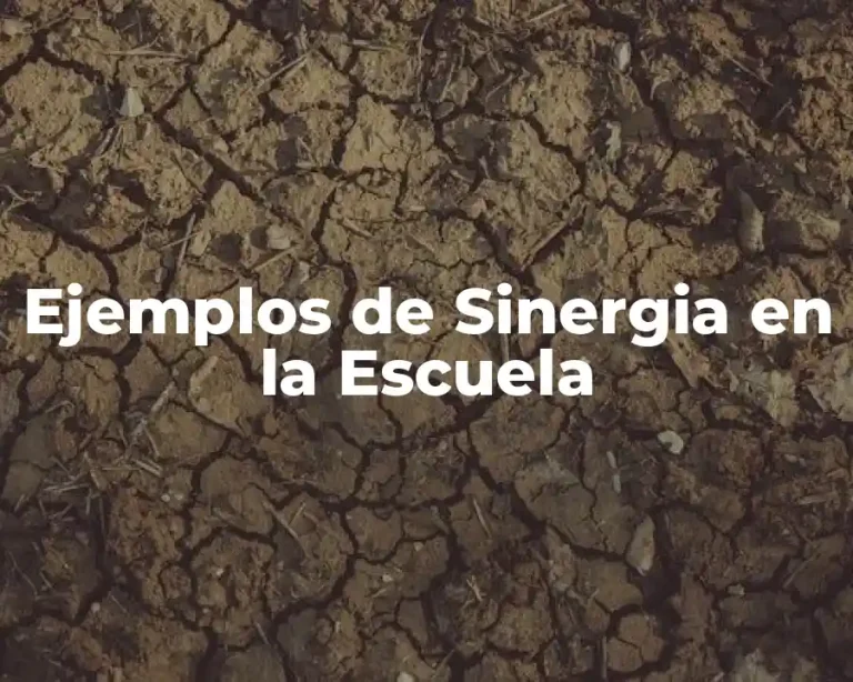 Ejemplos de Sinergia en la Escuela
