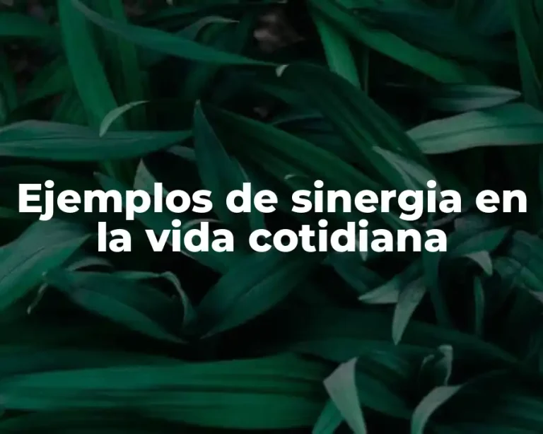 Ejemplos de sinergia en la vida cotidiana
