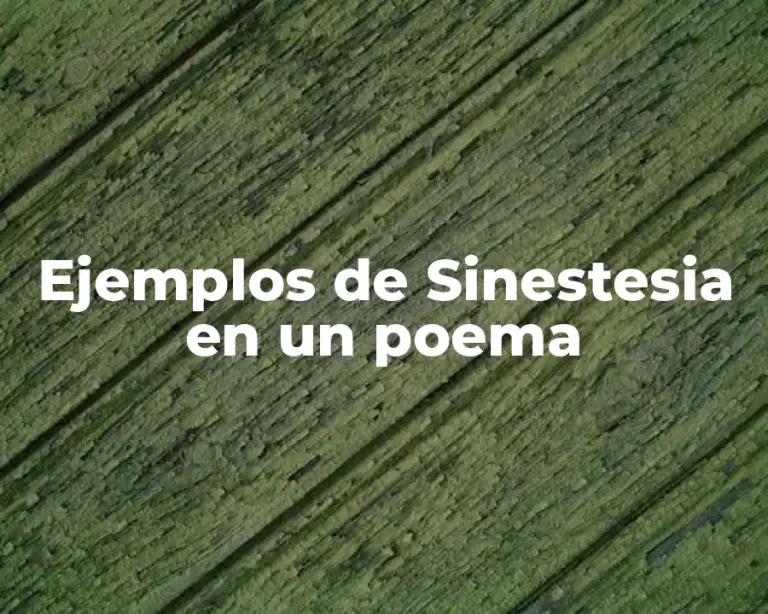 Ejemplos de Sinestesia en un poema