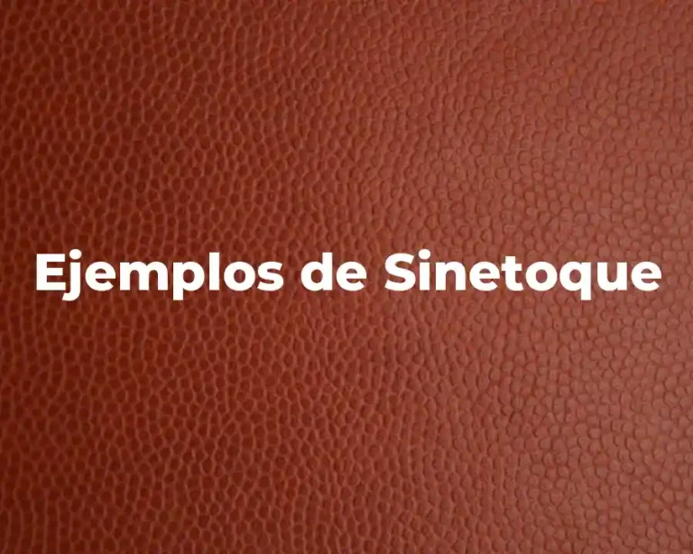 Ejemplos de Sinetoque