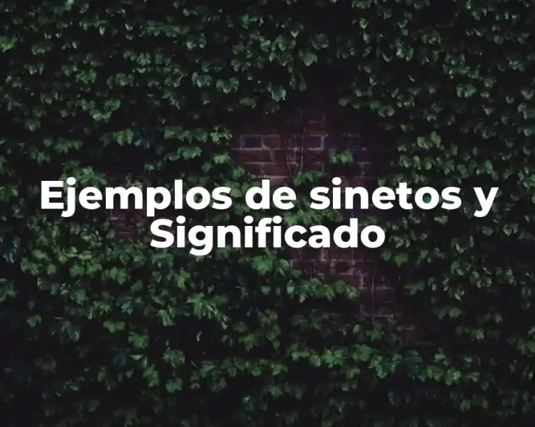 Ejemplos de sinetos y Significado