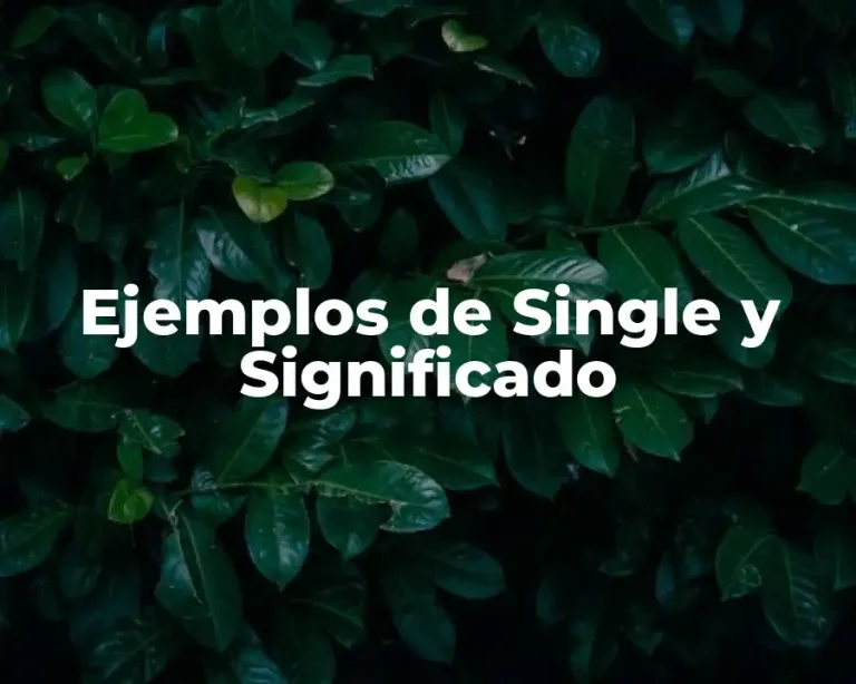 Ejemplos de Single y Significado