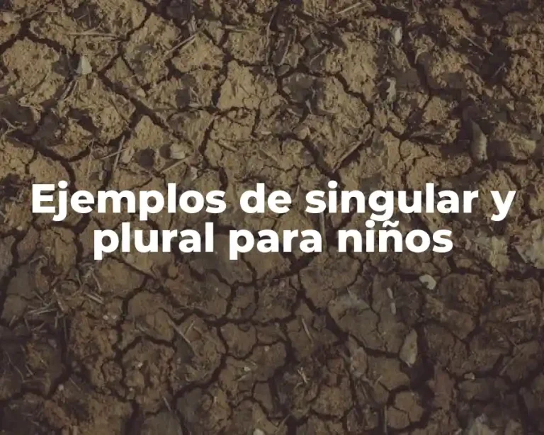 Ejemplos de singular y plural para niños