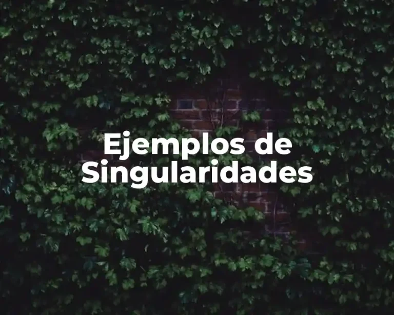 Ejemplos de Singularidades