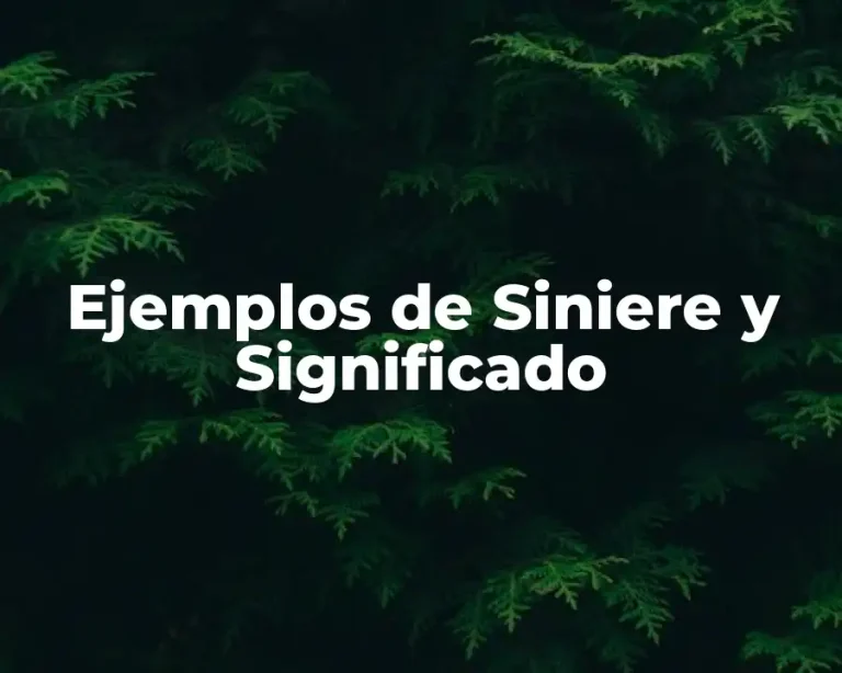 Ejemplos de Siniere y Significado