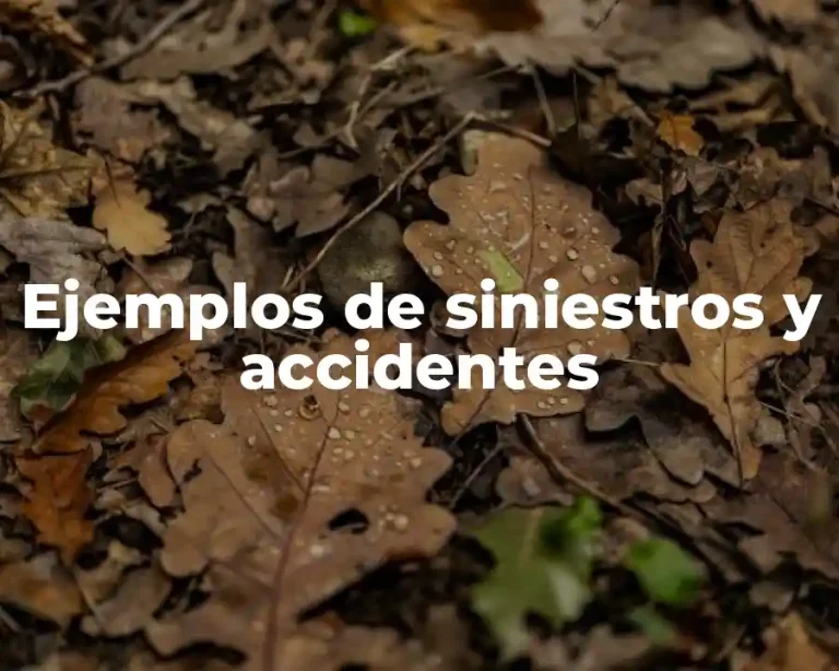 Ejemplos de siniestros y accidentes