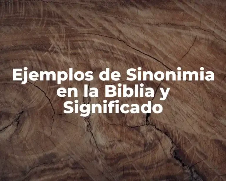 Ejemplos de Sinonimia en la Biblia y Significado