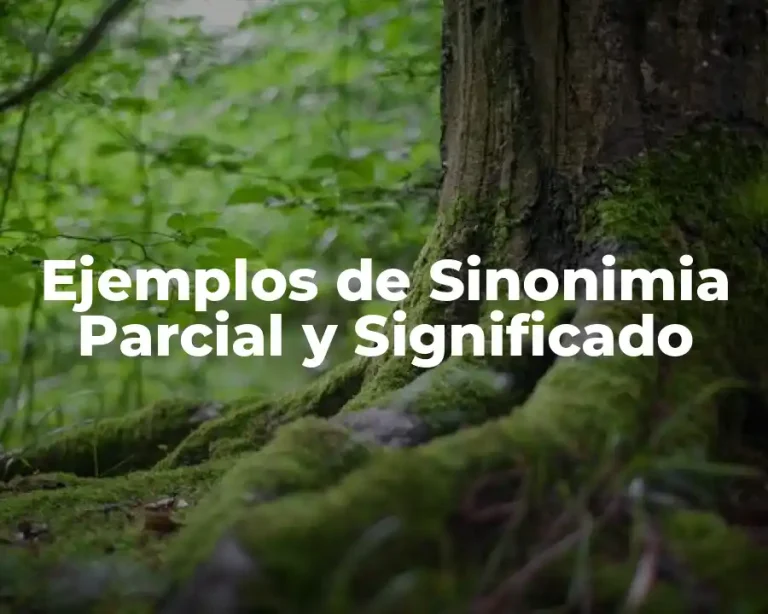Ejemplos de Sinonimia Parcial y Significado