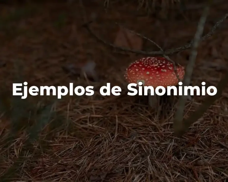 Ejemplos de Sinonimio